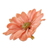 Natural aster brooch pin, 'Let It Bloom in Peach' - Natural Aster Flower Brooch in Peach from Thailand (image 2c) thumbail