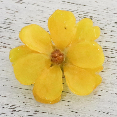 Broche cosmos natural - Broche de flor de cosmos natural en vara de oro de Tailandia