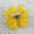 Natural cosmos brooch pin, 'Blooming Cosmos in Goldenrod' - Natural Cosmos Flower Brooch in Goldenrod from Thailand (image 2b) thumbail