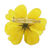 Natural cosmos brooch pin, 'Blooming Cosmos in Goldenrod' - Natural Cosmos Flower Brooch in Goldenrod from Thailand (image 2c) thumbail