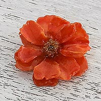 Natural cosmos brooch pin, 'Blooming Cosmos in Pumpkin' - Natural Cosmos Flower Brooch in Pumpkin from Thailand