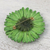 Natural gerbera brooch pin, 'Splendid Petals in Moss Green' - Natural Gerbera Flower Brooch in Moss Green from Thailand