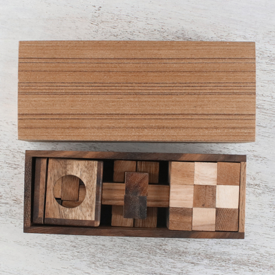 12 Handcrafted Wood Puzzles with Box from Thailand, 'Array of Challenges