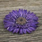 Natural flower brooch, 'Splendid Petals in Violet' - Handmade Natural Blue-Violet Gerbera Brooch from Thailand