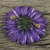Natural flower brooch, 'Splendid Petals in Violet' - Handmade Natural Blue-Violet Gerbera Brooch from Thailand (image 2c) thumbail