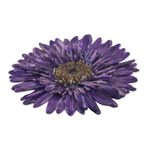 Natural flower brooch, 'Splendid Petals in Violet' - Handmade Natural Blue-Violet Gerbera Brooch from Thailand