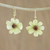 Natural zinnia dangle earrings, 'Yellow Summertime Zinnia' - Resin Coated Natural Zinnia Dangle Earrings from Thailand thumbail