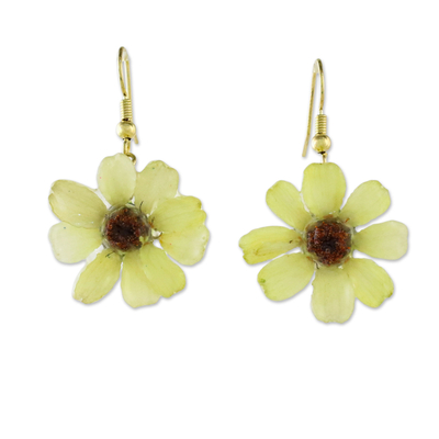 Natural zinnia dangle earrings, 'Yellow Summertime Zinnia' - Resin Coated Natural Zinnia Dangle Earrings from Thailand