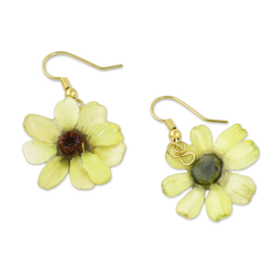Natural zinnia dangle earrings, 'Yellow Summertime Zinnia' - Resin Coated Natural Zinnia Dangle Earrings from Thailand