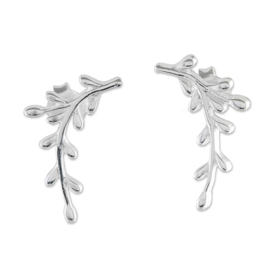 Sterling silver drop earrings, 'Shining Olive' - Sterling Silver Olive Branch Drop Earrings from Thailand