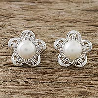 Rhodium plated cultured pearl button earrings, 'Starflower of the Sea'