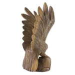 Wood sculpture, 'The Eagle' (right) - Right-Facing Wood Eagle Sculpture from Thailand