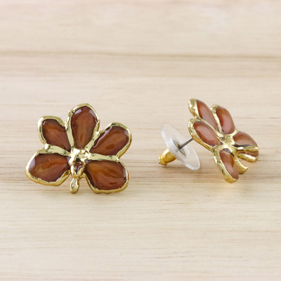 Gold accent natural orchid button earrings, 'Espresso Radiance' - Espresso Gold-Plated Natural Orchid Button Post Earrings
