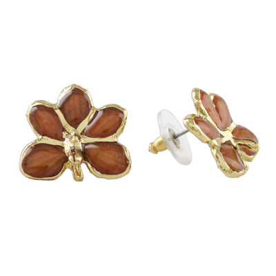 Pendientes de botón de orquídea natural con acento dorado - Aretes de botón de orquídea natural con baño de oro espresso