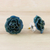 Pendientes botón flores naturales - Aretes de botón de rosa real en miniatura sumergidos en resina verde azulado