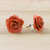 Pendientes botón flores naturales - Pendientes de botón de rosa en miniatura real bañados en resina rojo-naranja