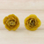 Ohrringe mit natürlichen Blumenknöpfen - In Harz getauchte gelbe echte Miniatur-Rosenknopf-Ohrringe