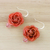 Ohrhänger mit natürlichen Blumen - In Harz getauchte rosa echte Miniatur-Rosen-Ohrhänger