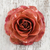 Natural flower brooch, 'Rosy Cheer in Orange' - Resin Dipped Orange-Colored Real Rose Brooch from Thailand thumbail