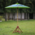 Cotton and bamboo parasol, 'Meeting Point' - Crane-Themed Cotton and Bamboo Parasol in Spring Green thumbail