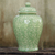 Celadon-Keramikdose, 'Botanischer Traum'. - Keramikvase aus fairem Handel Celadon
