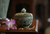 Schmuckschatulle aus Seladon-Keramik - Schmuckschatulle aus Seladon-Keramik