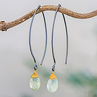 Gold accented prehnite dangle earrings, 'Midnight Meadow'
