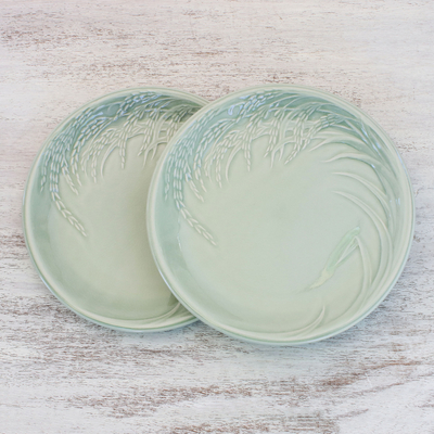 Platos de cerámica Celadon, (par) - Platos de cerámica Celadon de Tailandia (par)