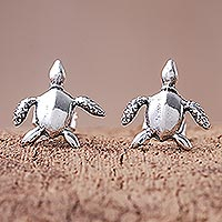 Sterling silver stud earrings, 'Sea Turtle Bliss' - Sterling Silver Sea Turtle Stud Earrings from Thailand