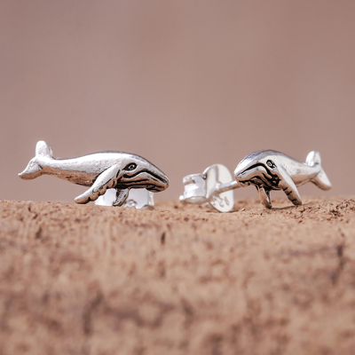 Sterling silver button earrings, 'Whale Twins' - Sterling Silver Whale Button Earrings from Thailand