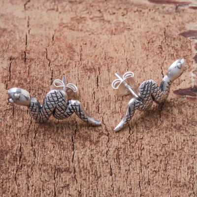 Sterling silver button earrings, 'Cute Snakes' - Sterling Silver Snake Button Earrings from Thailand