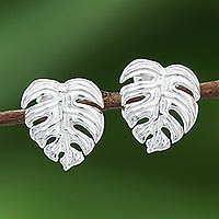 Sterling silver stud earrings, 'Tropical Leaf'