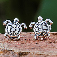 Sterling silver stud earrings, Tiny Turtles