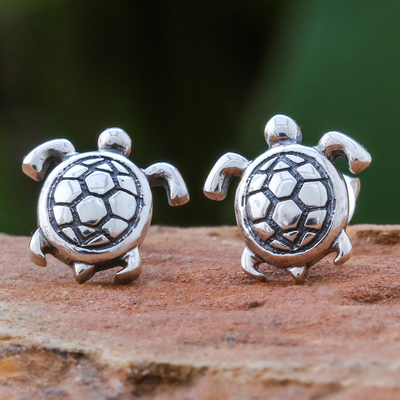 Sterling silver stud earrings, 'Tiny Turtles' - Thai Artisan Handcrafted Sterling Silver Turtle Earrings