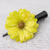 Natural flower hair clip, 'Yellow Aster Passion' - Natural Yellow Aster Hair Clip from Thailand (image 2b) thumbail