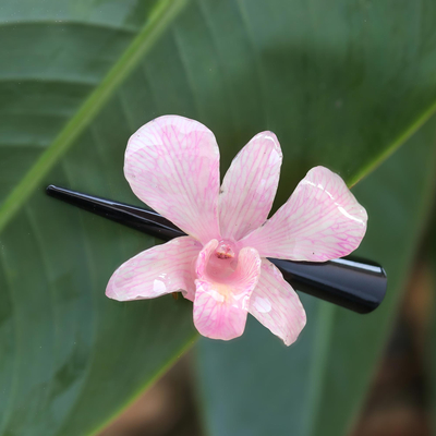 Natural orchid hair clip, 'Pink Orchid Love' - Natural Pale Pink Thai Orchid Hair Clip