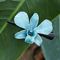 Natural orchid hair clip, 'Blue Orchid Love'