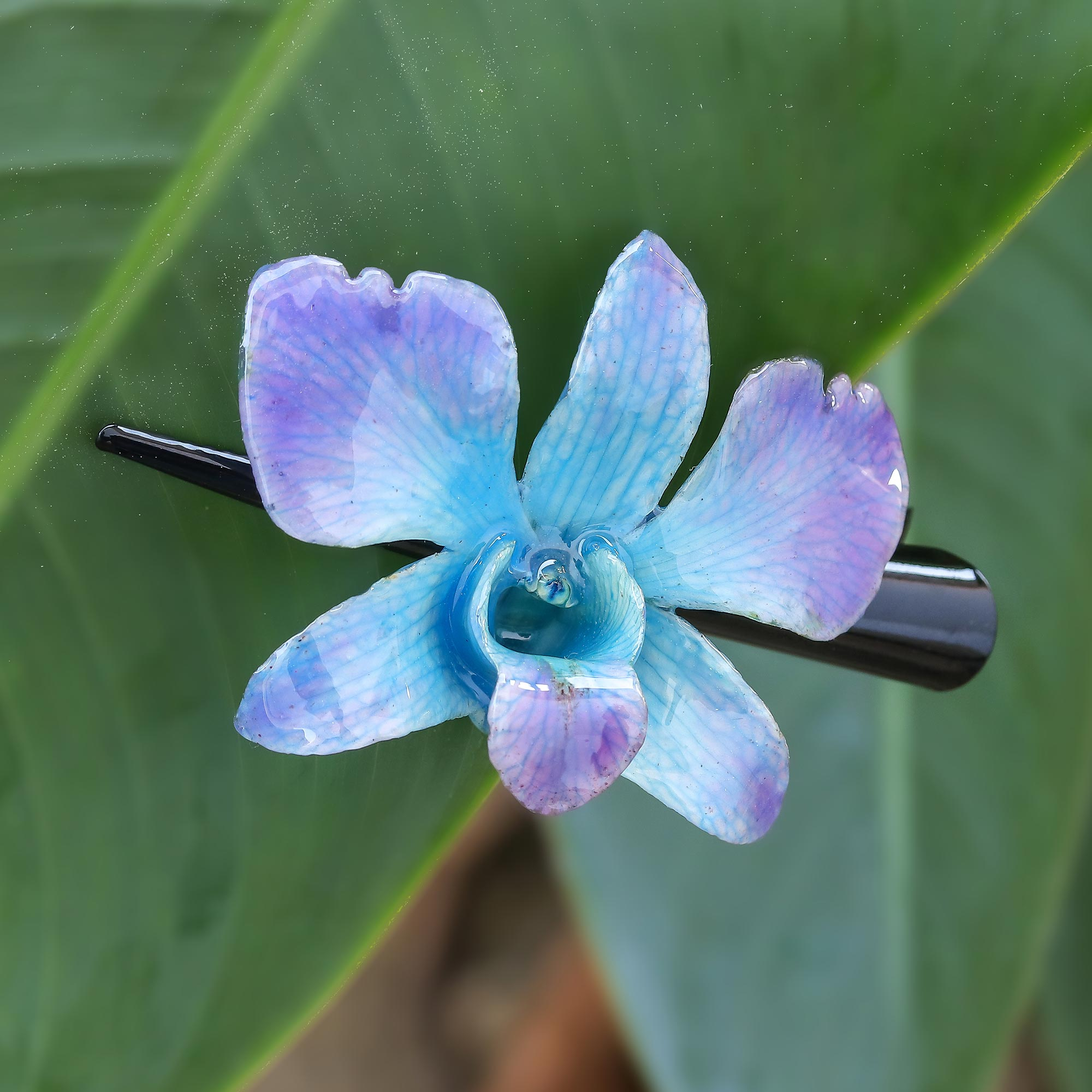 Natural Blue-Violet Thai Orchid Hair Clip - Blue-Violet Orchid Love | NOVICA