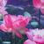 'Lotus Sunset' (2019) - Pintura realista firmada de flores de loto (2019)