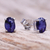 Sapphire stud earrings, 'Oceanic Marvel' - Oval Sapphire Stud Earrings from Thailand (image 2) thumbail
