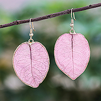 Gold accented natural flower dangle earrings, 'Bougainvillea Love in Pink'
