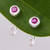 Ruby half-hoop earrings, 'Back to Front' - Petite Thai Sterling Silver Half Hoop Earrings with Ruby thumbail