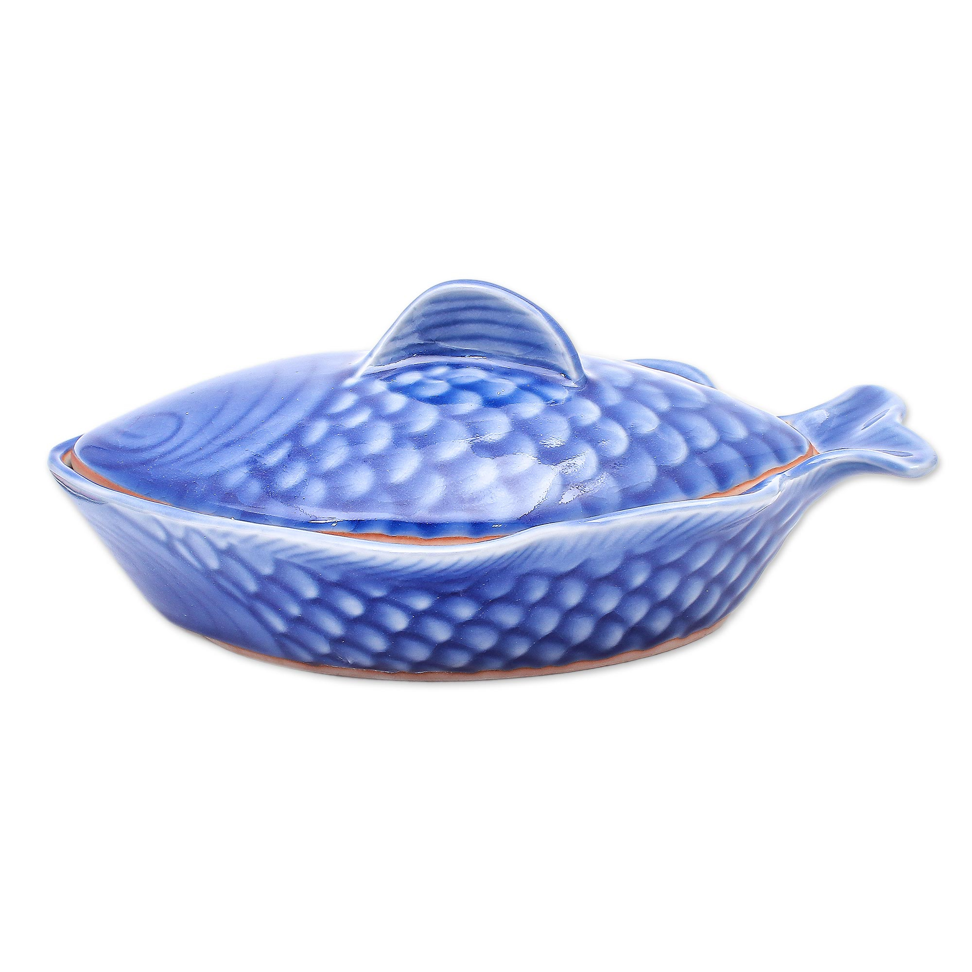 fish bowl lid