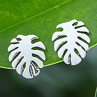 Sterling silver stud earrings, 'Palm Frond' - Sterling Silver Leaf-Motif Stud Earrings