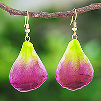 Gold-plated natural orchid petal dangle earrings, Summer Treat in Berry