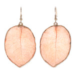 Gold-plated natural bougainvillea petal dangle earrings, 'Bougainvillea Love' - Gold-Plated Bougainvillea Petal Dangle Earrings