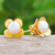 Gold-plated cultured pearl button earrings, 'Eternal Blossom in Gold' - Thai Gold-Plated Cultured Pearl Button Earrings (image 2b) thumbail