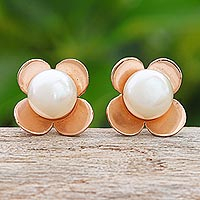Rose gold-plated cultured pearl button earrings, 'Eternal Blossom in Rose Gold' - Rose Gold-Plated Cultured Pearl Button Earrings