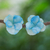 Natürlicher Blumen-Ohrstecker - Thailändischer, mit Harz beschichteter blauer Hortensienblüten-Ohrstecker
