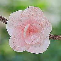 Broschennadel mit natürlichen Blumen, „Blassrosa Hortensie“ – Broschennadel mit thailändischer Harzbeschichtung, natürlicher rosafarbener Hortensienblüte